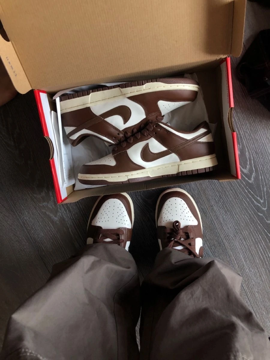 Nike Sb Dunk Cacao